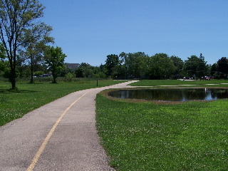 Puddle along Poplar Creek Bike Trail